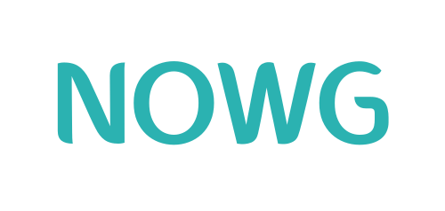 Nowgai Project Preview